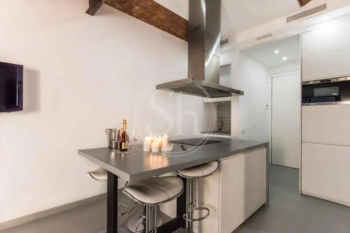 Acogedor Apartamento En El Eixample Barcelona 0*,